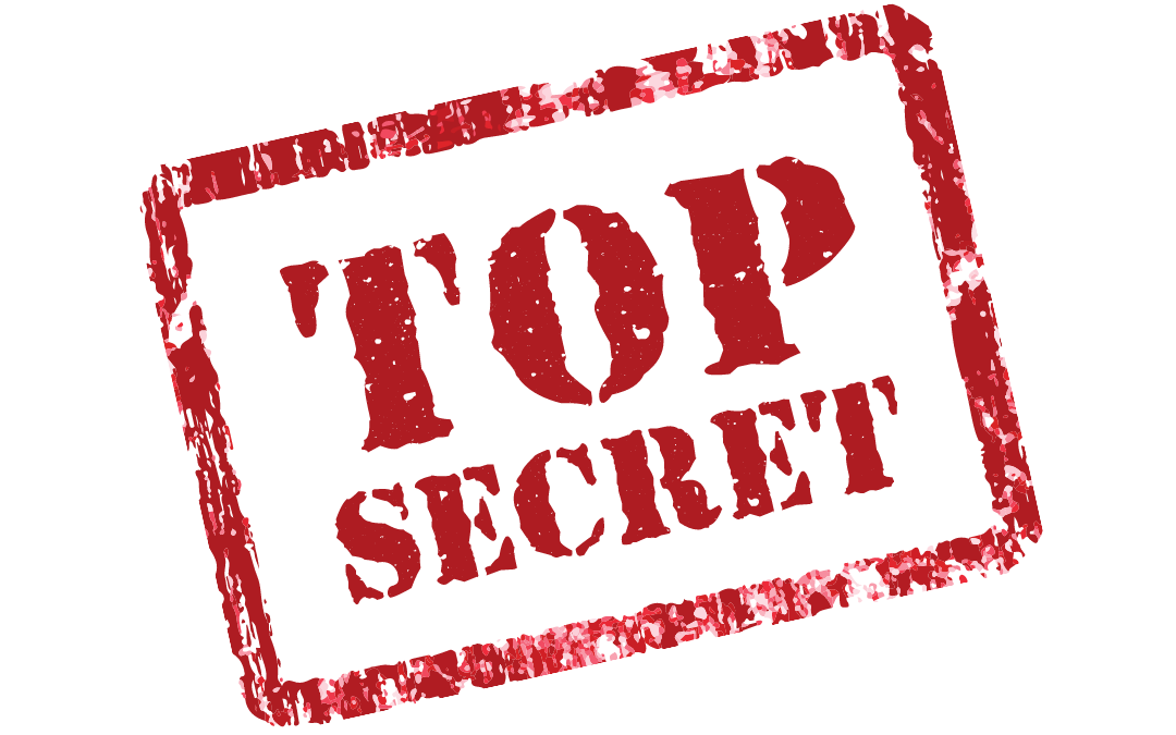 Book Cover Reveal