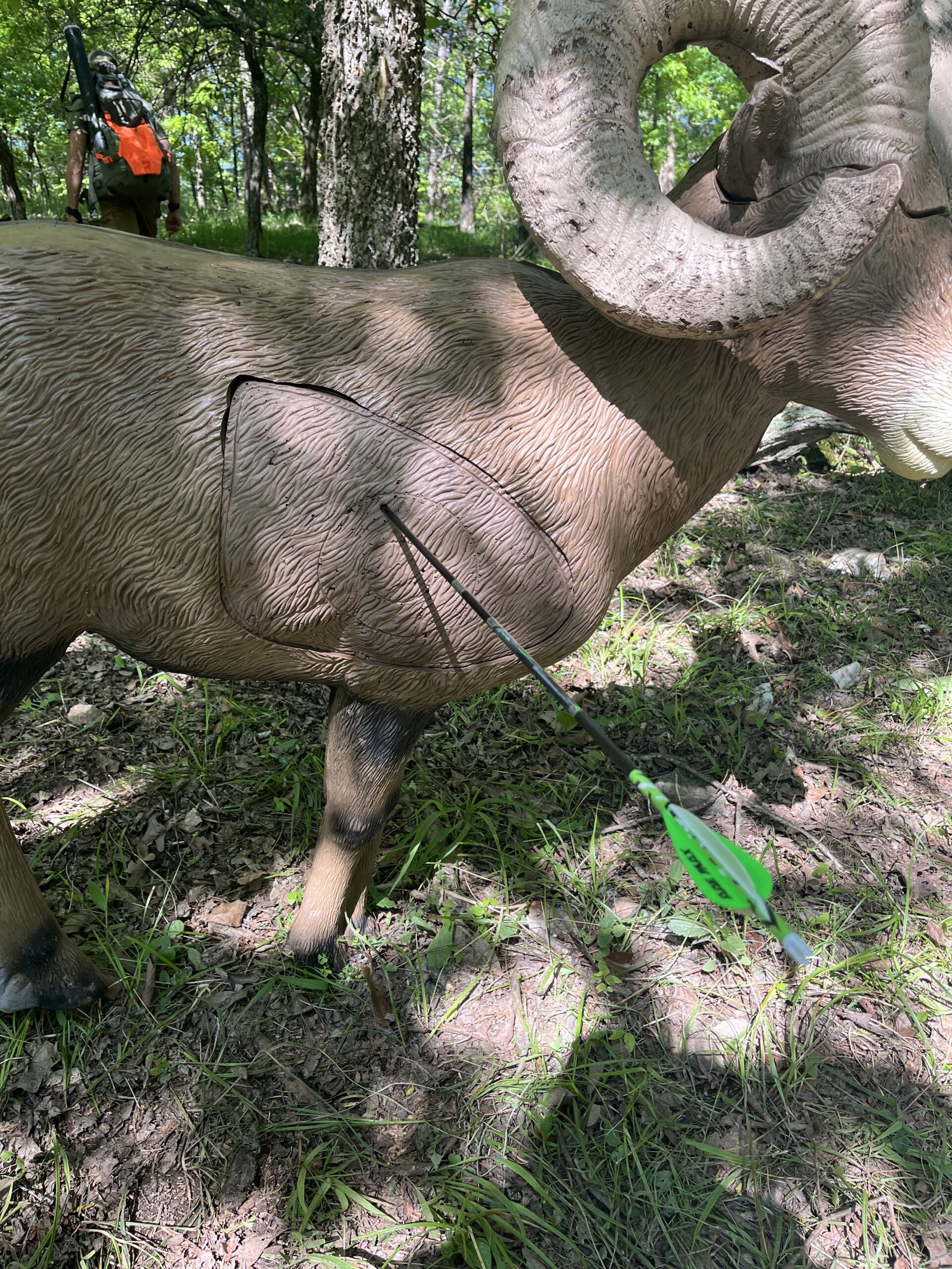 big horn ram shot
